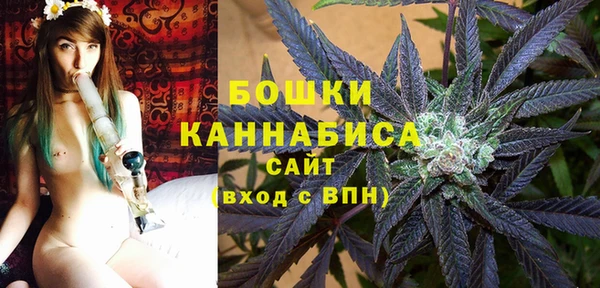 ПСИЛОЦИБИНОВЫЕ ГРИБЫ Абаза