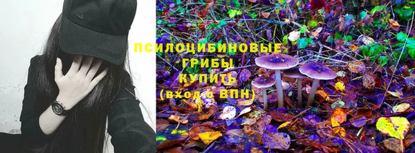 альфа пвп Новодвинск