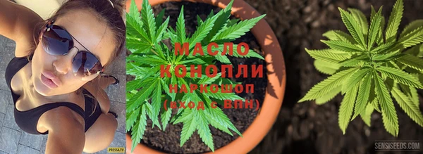 ПСИЛОЦИБИНОВЫЕ ГРИБЫ Абаза