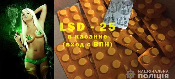 ПСИЛОЦИБИНОВЫЕ ГРИБЫ Абаза