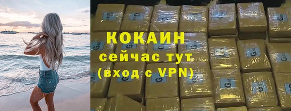 гашик Новозыбков